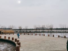-绿堤公园