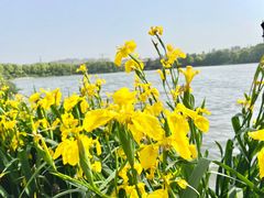 景点-美兰湖景区