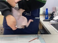 -天时宠物医院24小时疑难病例会诊中心(顾乡大街总院)