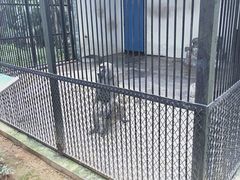 -广东茂名森林公园