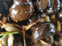 阳朔特色田螺酿-生态苑农庄(十里画廊遇龙河店)