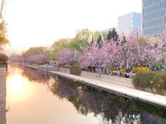 -元大都城垣遗址公园