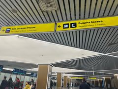 -谢列梅捷沃国际机场