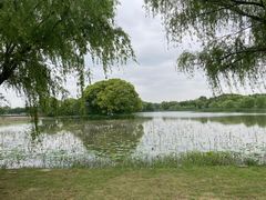 -梁鸿国家湿地公园