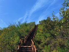 -大岭沟猕猴桃谷风景区
