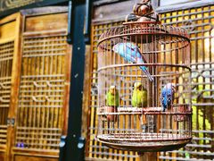 -鱼桥巷·美学川菜