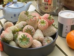 -洨河生态公园