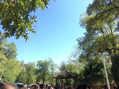 -延安杨家岭革命旧址