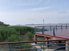 -上海吴淞炮台湾国家湿地公园