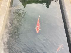 -西安市广仁寺