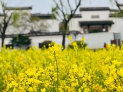 -广富林郊野公园