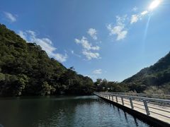 -雁南飞茶田景区