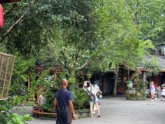 -青城甲(青城山店)