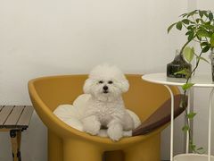 -MOI COFFEE(江山汇悦山府店)