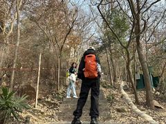 -紫金山山顶公园