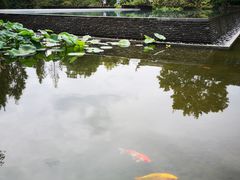 -杭州西子湖四季酒店-WL BISTRO西湖餐厅(灵隐路店)