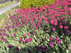 -玄武湖景区-情侣园游乐场