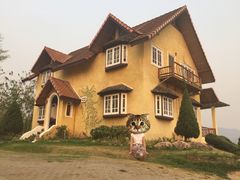 -黄色小屋