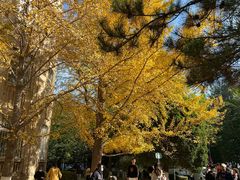 -辽宁大学(崇山校区)