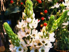 -爱尚幸福鲜花(上地实体店)