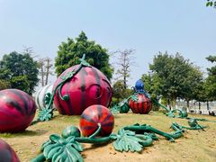 -琅岐红光湖公园
