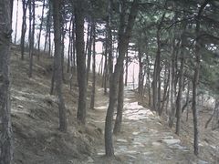 -阳台山自然风景区