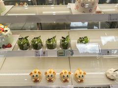 -蒲公英(五里店)