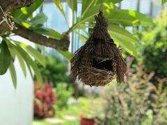 -水云间·园林餐厅(大龙店)