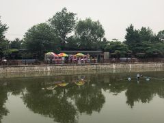 -尚庄度假村·庭台树下·户外烧烤·团建CS·轰趴营地(上庄水库店)
