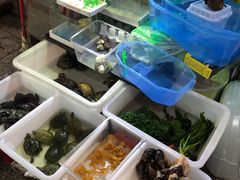-宝鸡东道花鸟鱼虫市场(吉利花园商场店)
