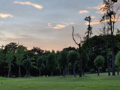 -中国浦东干部学院