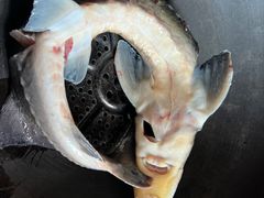 -北京龙庆四季香农家饭庄·灶台鱼·碳烤虹鳟鱼(龙庆峡店)