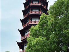 -绳金塔