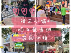 -中粮·祥云小镇