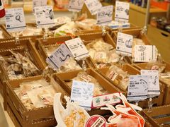-宠小格时尚宠物生活馆(唐镇店)