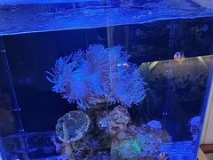 -Rabbit Cafe私房西餐甜点咖啡(栖霞路店)