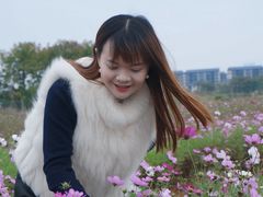 -洋湖国家湿地公园