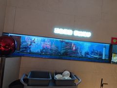 -老板恋上鱼(恒隆广场店)