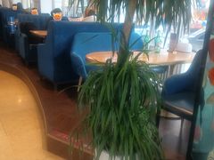 -花舍·新派粤菜·西餐·下午茶(亚运村·鸟巢店)