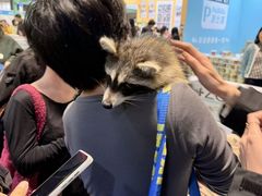 -重庆国际会议展览中心