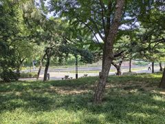 -元大都城垣遗址公园
