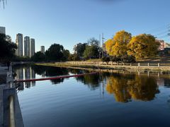 -Dinoo 片场咖啡(酒仙桥店)