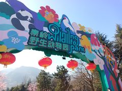 -西安秦岭野生动物园