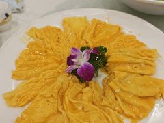 黄埔炒蛋-姚林轩