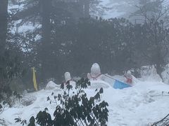 -瓦屋山景区
