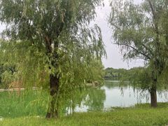 -上海汽车会展中心