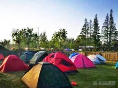 -前小桔亲子创意农场·草莓采摘·露营烧烤