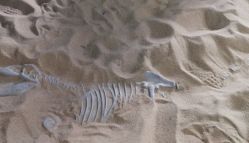 -恐龙探索乐园(磁器口店)