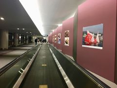 -中部国际机场
