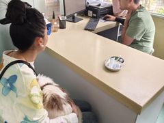 -东方动物医院·宠保定点·骨科·转诊中心(春城路·昆明站分院)